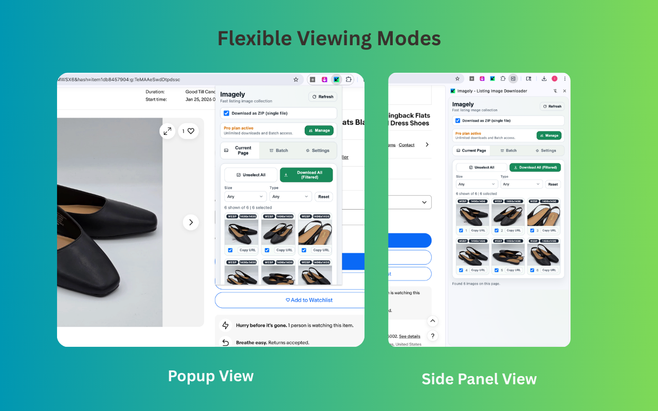 Imagely in popup view and side panel view